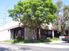 954 N Amelia Ave photo